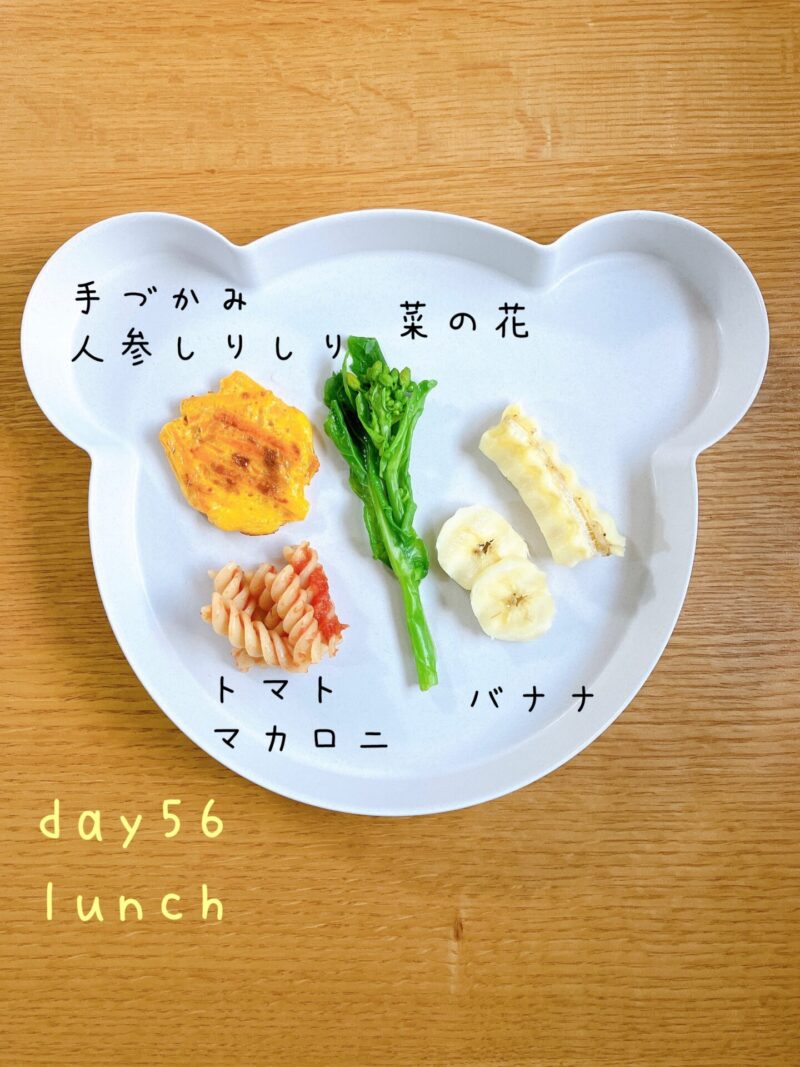 BLW離乳食　day56